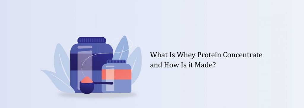 What Is Whey Protein Concentrate and How Is it Made?